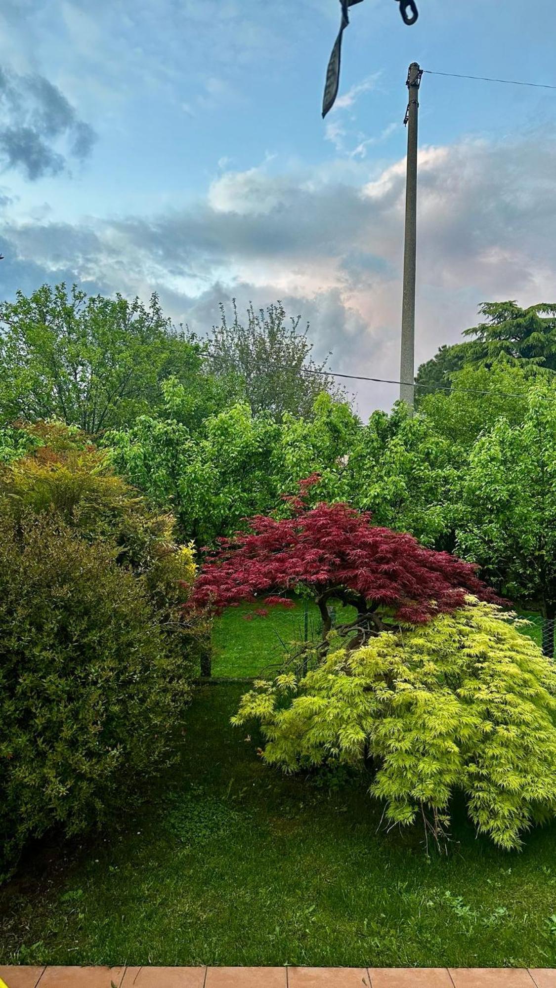 Villa Luisa Gorle Esterno foto